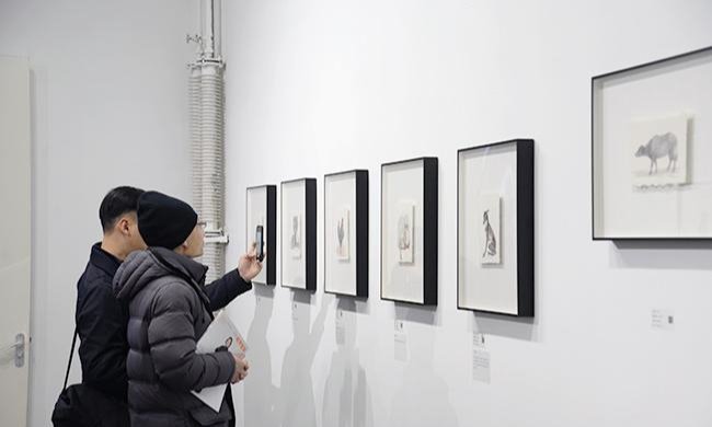 20190102zhanggan8.jpg