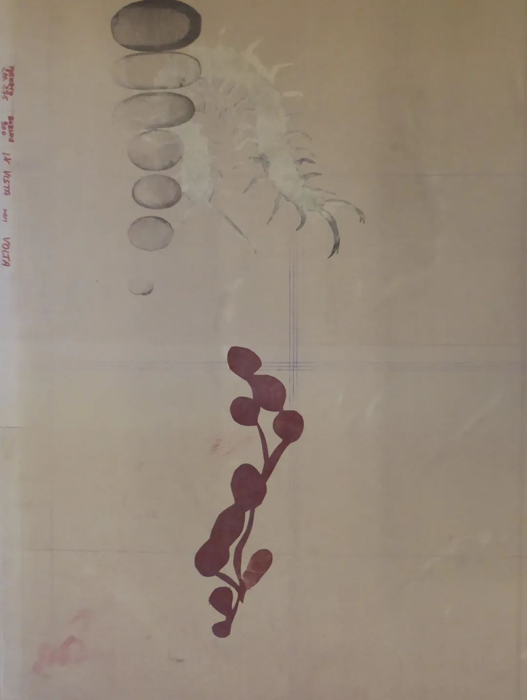 图片 图片