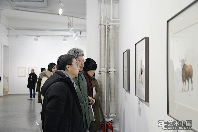 20190102zhanggan6.jpg