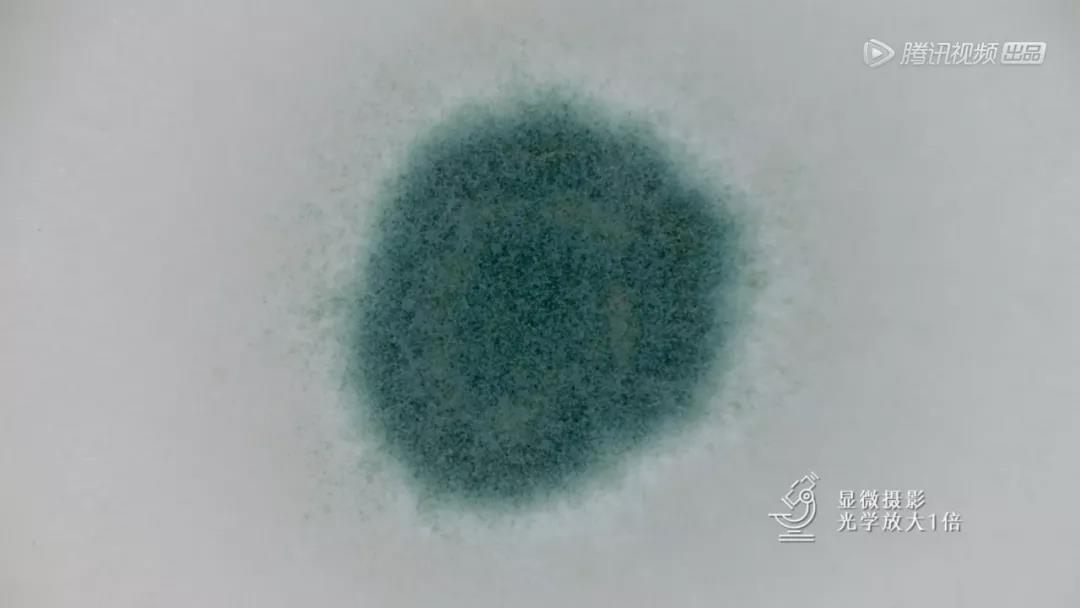 20190111zhuwenting10.jpg