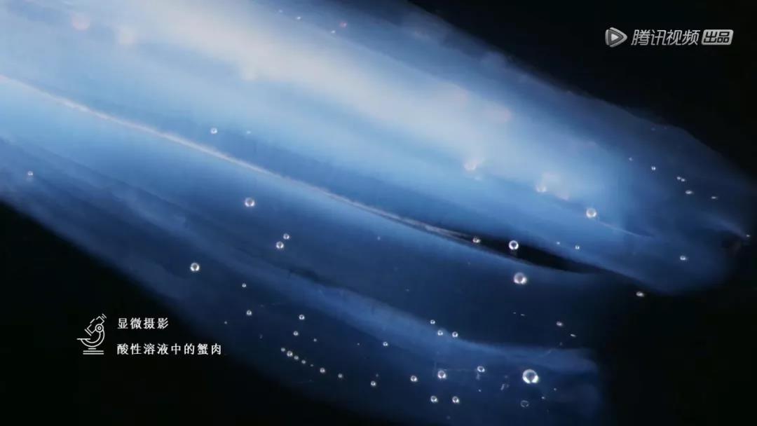 20190111zhuwenting20.jpg