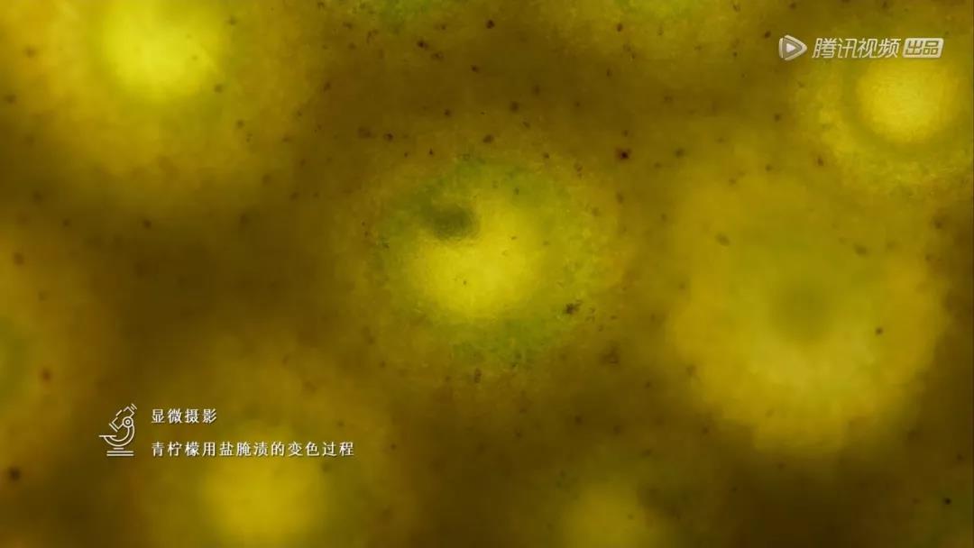 20190111zhuwenting25.jpg