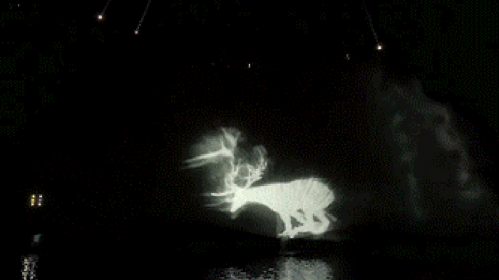 20181121wangzigang7.gif